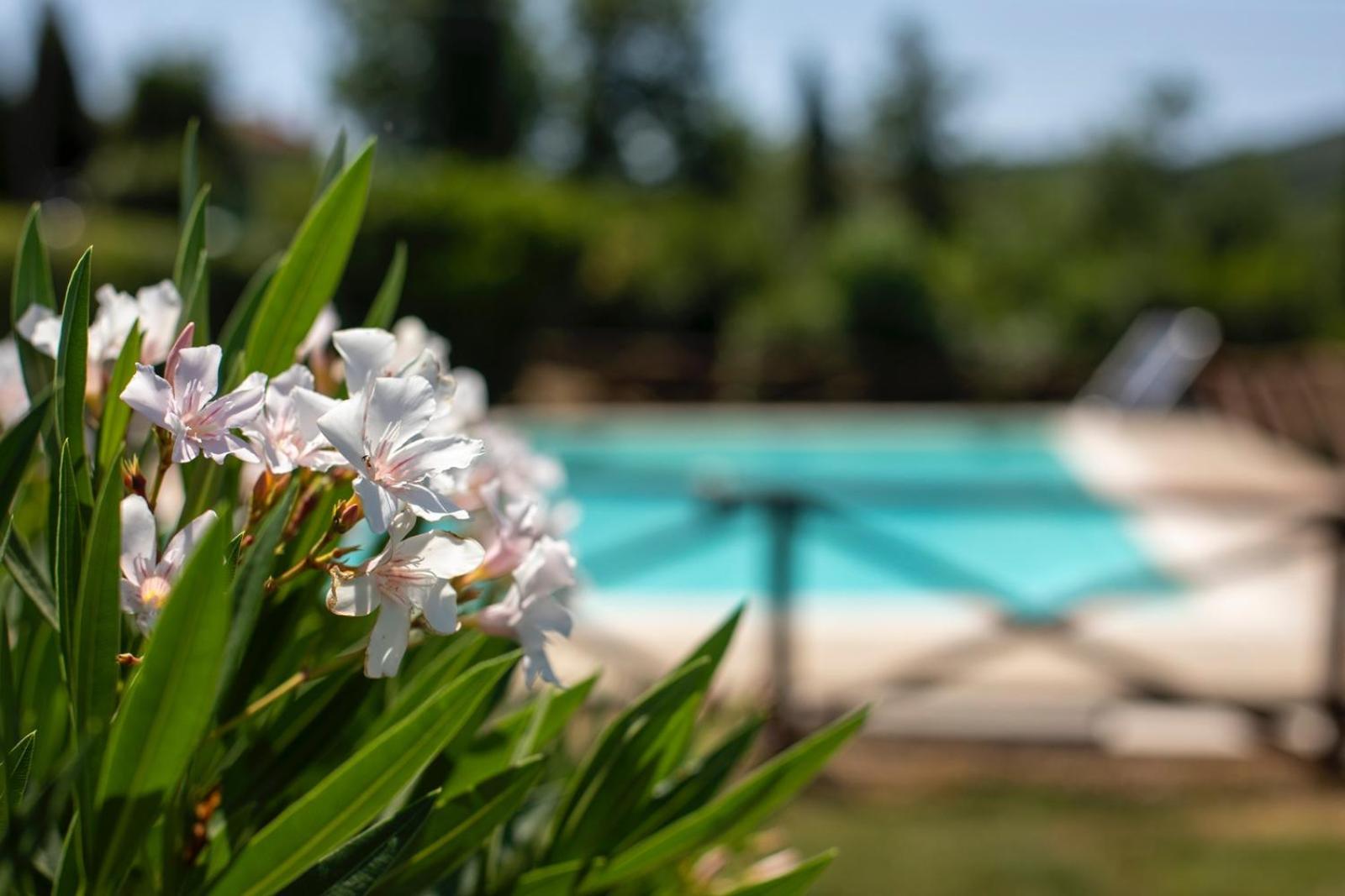 Agriturismo Podere Acqualoreto Eksteriør billede